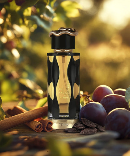 TERRIAQ INTENSE NOIR