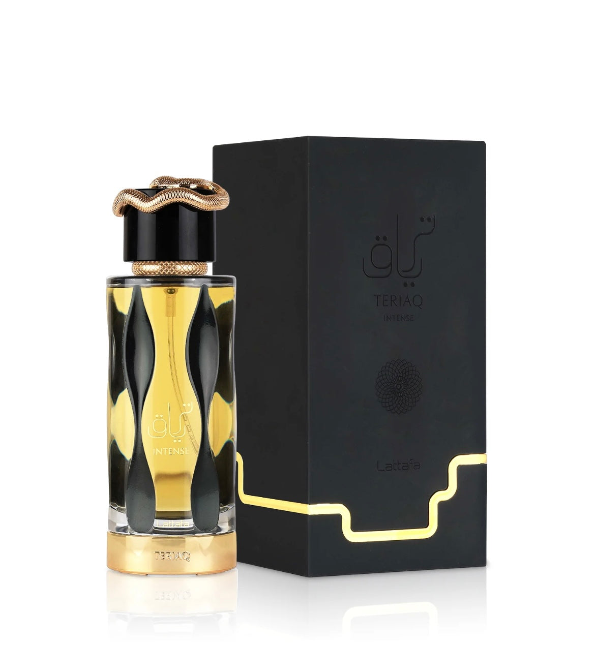 TERRIAQ INTENSE NOIR